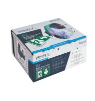 Lot de 5 BAES d'évacuation SATI connectés Uralife V pour installation murale référence 118218V