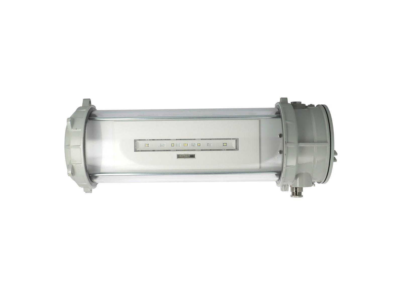 BAES Ambiance ATEX 450lm-1h SATI Connecté Adressable IP68-IK09