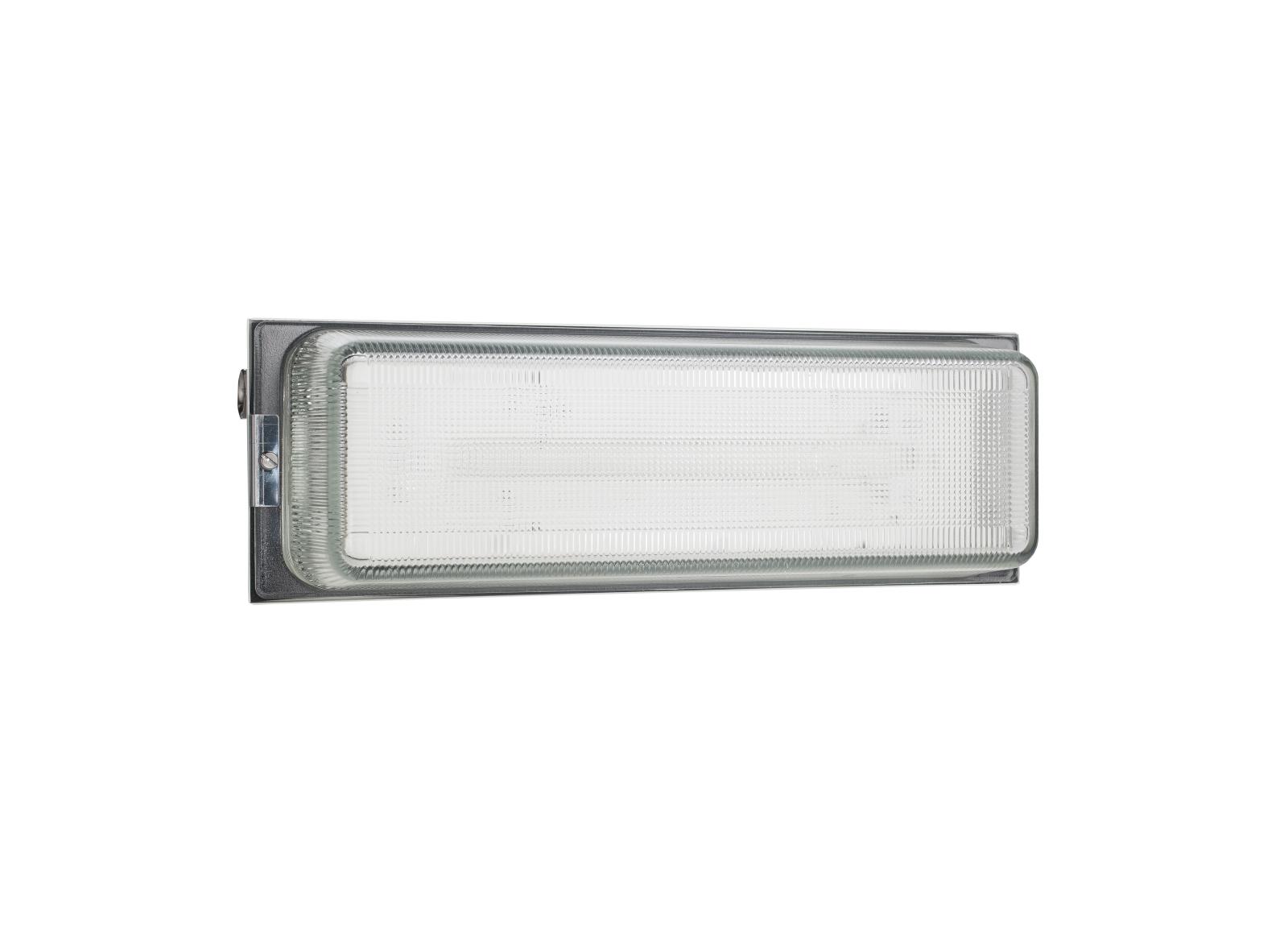 BAES d'ambiance type tôle et verre IP66 IK04 SATI/Adressable flux 400lm 1h BAES d'ambiance type tôle et verre IP66 IK04 SATI/Adressable flux 400lm 1h